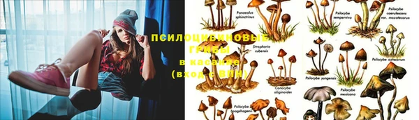 марки lsd Верхний Тагил