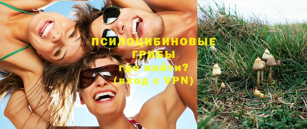 трава Рославль